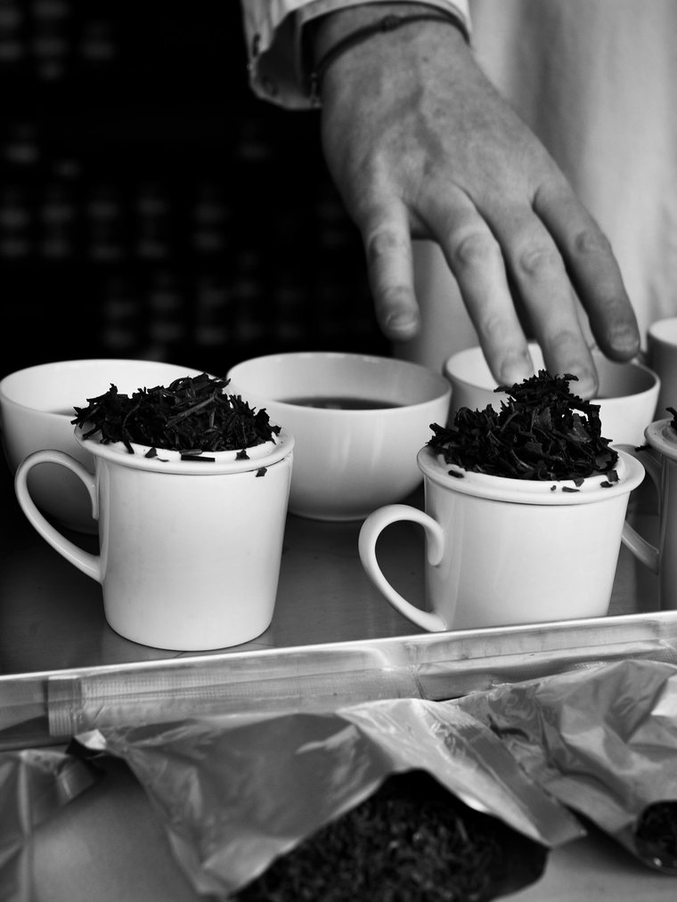 White tasting cups with brewed tea leaves